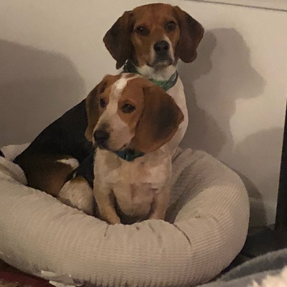 Meet your Posher, Julia - Picture 1 of 1